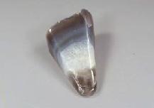 Агат