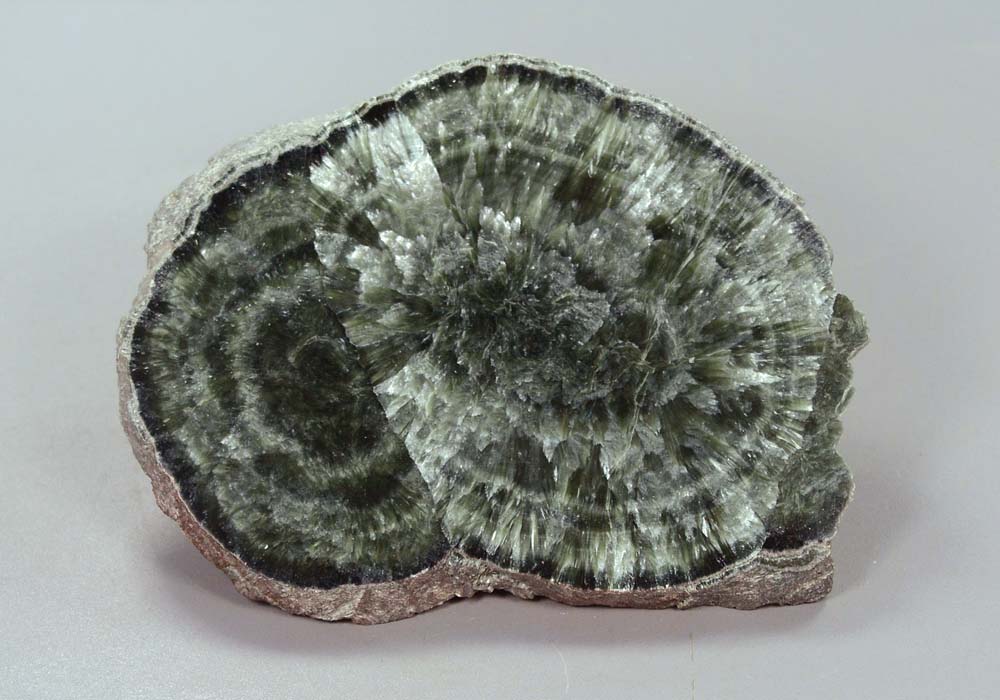 Серафинит (клинохлор), срез сталактита 72,84 - стоимость