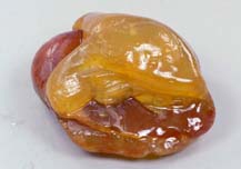 Сердолик