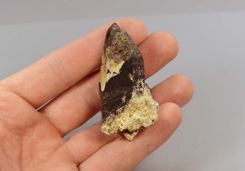 Морион, кристалл 36,16 - вид сбоку